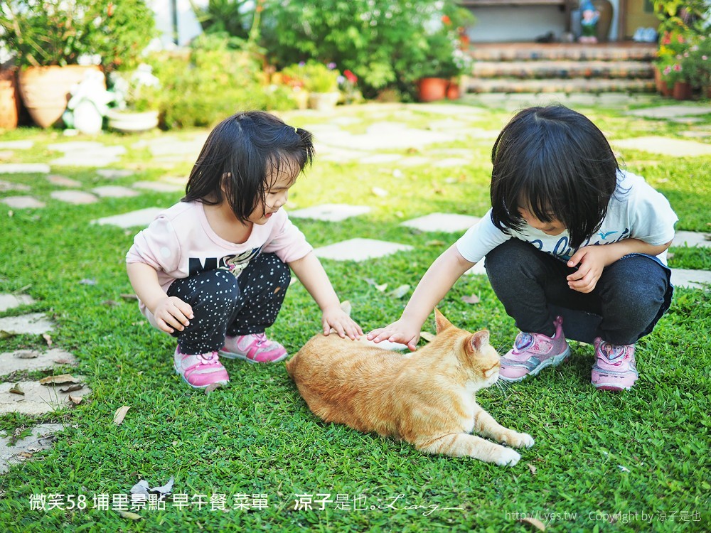 微笑58 埔里景點 早午餐 菜單 民宿 住宿 餐廳 美食 親子景點 貓咪