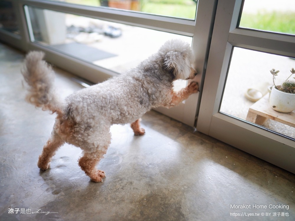 Morakot Home Cooking 泰國 攀牙 มรกตโฮมคุ๊กกิ้ง 普吉島美食推薦 無菜單 私廚料理 預約制 普吉島餐廳 泰國 攀牙 普吉島美食推薦 無菜單 私廚料理 預約制 普吉島餐廳