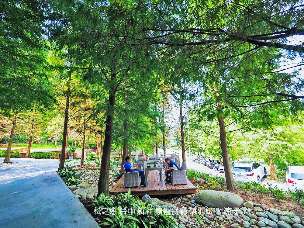 松之戀 台中 新社 景觀餐廳 落羽松