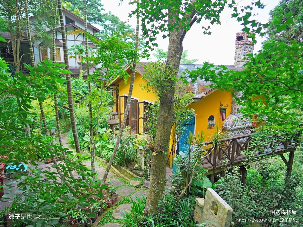 相遇森林屋 菜單 苗栗南庄景點 苗栗景觀餐廳 苗栗景點 森林系 南庄咖啡館 童話屋秘境 苗栗景點 森林系 南庄咖啡館 童話屋秘境