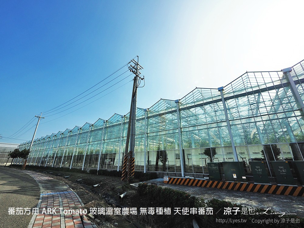 番茄方舟 ARK Tomato 玻璃溫室農場 無毒種植 天使串番茄