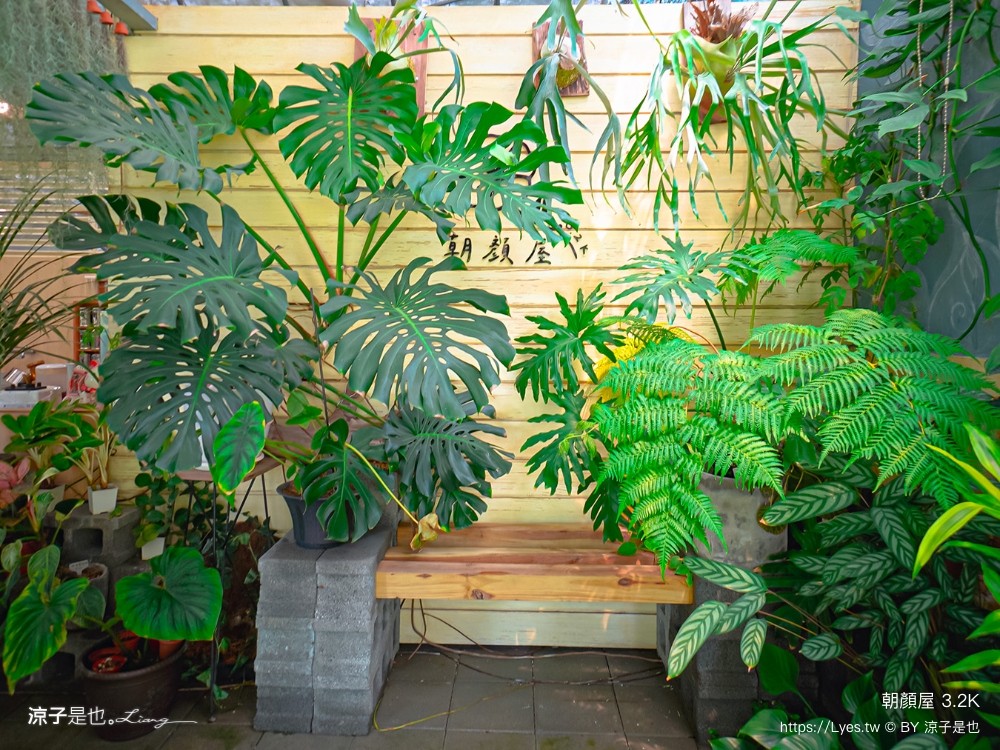 朝顏屋32k 菜單 桃園早午餐 桃園咖啡館 森林系溫室餐廳 披薩 桃園下午茶 隱藏版 貝果 停車 鐵路咖啡
