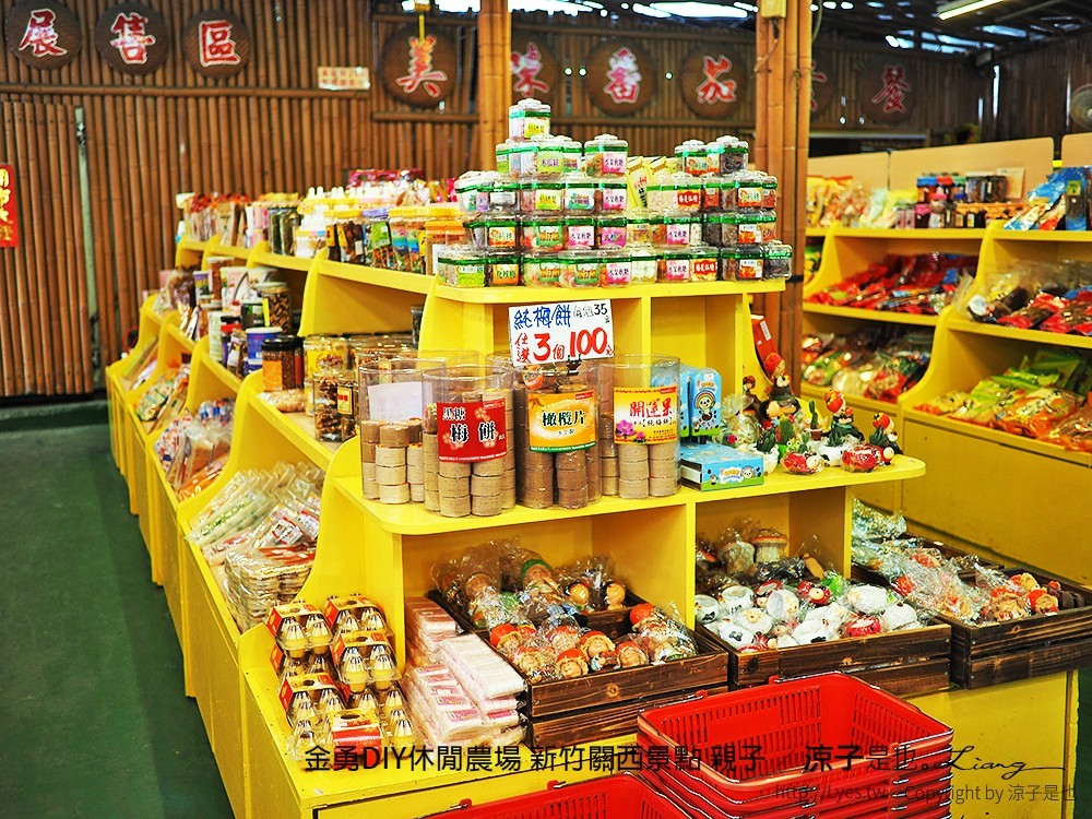 金勇DIY休閒農場 新竹關西景點 親子