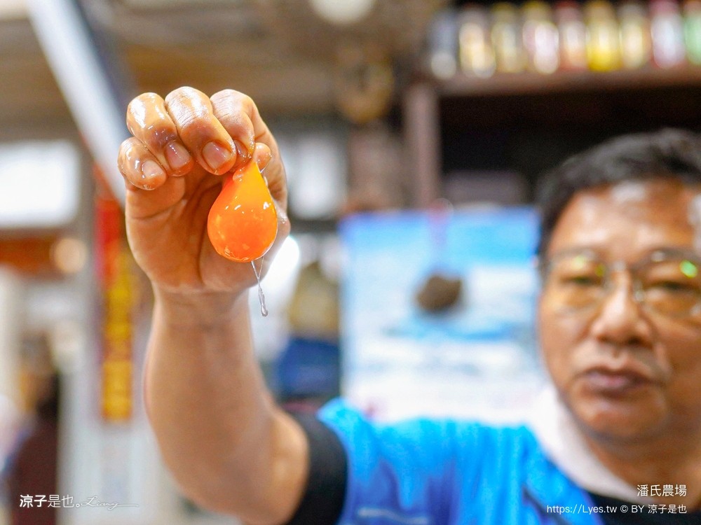 潘氏農場 屏東車城 親子景點 紅仁鴨蛋 鹹鴨蛋DFIY 屏東景點推薦 車城鹹鴨蛋老店推薦
