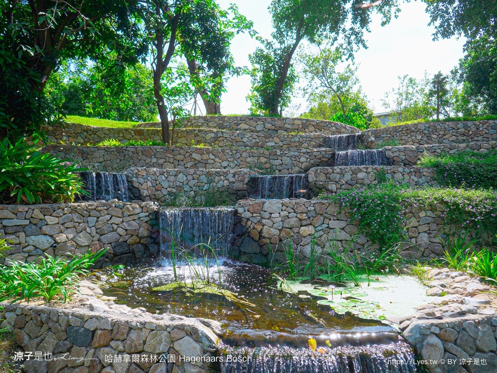 哈赫拿爾森林公園 台南景點 最新公園 森林秘境 開放時間 綠化 生態公園 交通 親子 hagenaars bosch