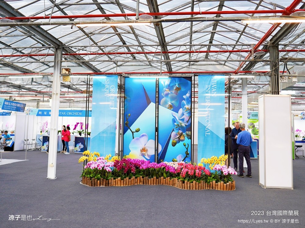 台灣國際蘭展 門票 2023時間 台南景點 魔境 恐龍 親子diy 必看亮點 台南限定蘭花