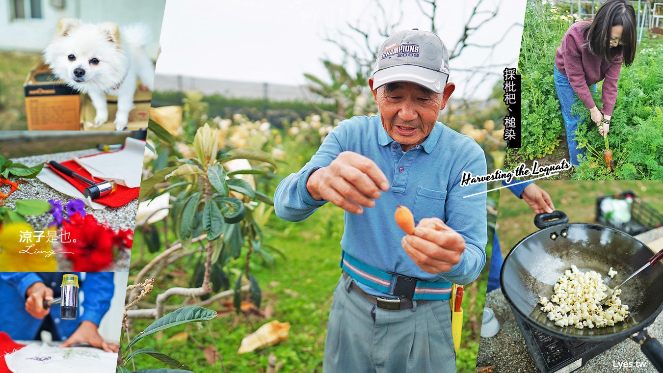 台中新社景點-布拉姆田莊 親子體驗活動 採枇杷、爆米花 DIY 、槌染、香菇娃娃體驗