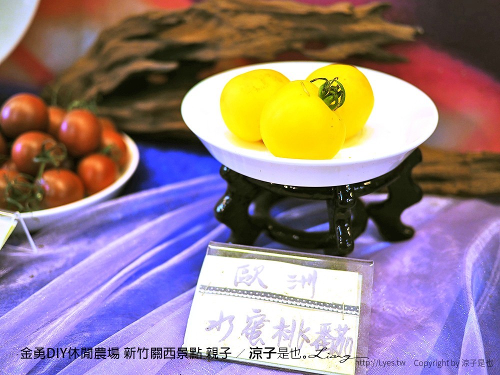 金勇DIY休閒農場 新竹關西景點 親子