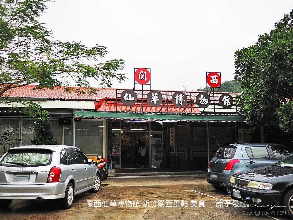 關西仙草博物館 新竹關西景點 美食