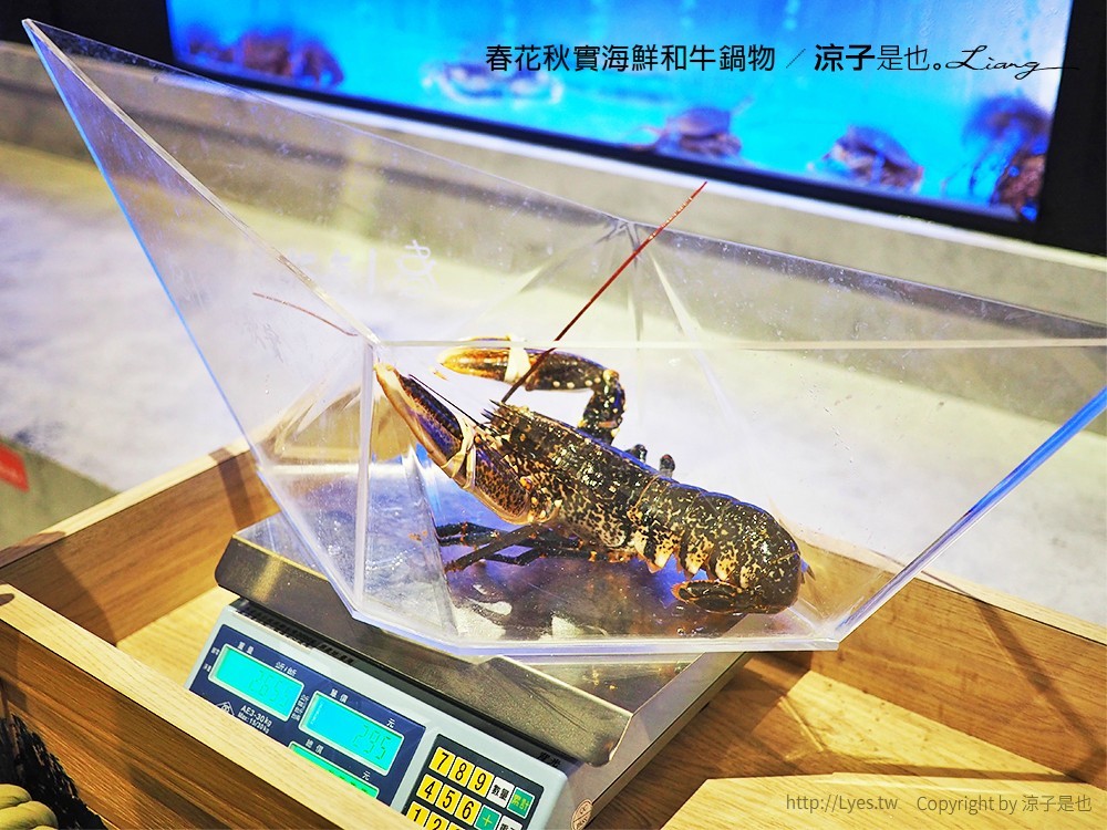 春花秋實海鮮和牛鍋物