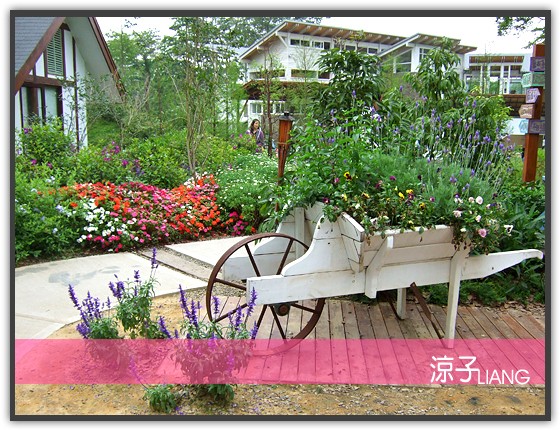 薰衣草森林 明德店20