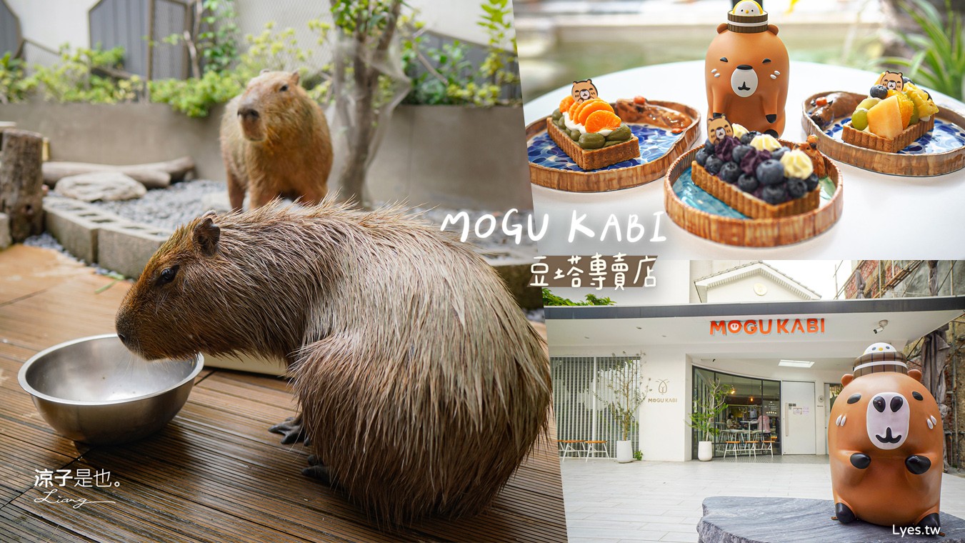mogu kabi 豆塔專賣店 台南水豚景點 菜單 台南甜點推薦 夏威夷豆塔 台南水豚下午茶 水果塔 水豚打卡景點