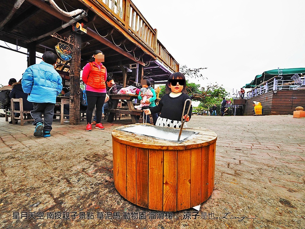星月天空 南投親子景點 草泥馬 動物園 溜滑梯