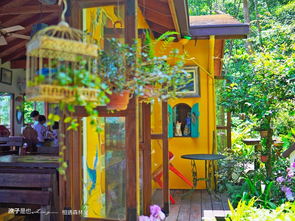 相遇森林屋 菜單 苗栗南庄景點 苗栗景觀餐廳 苗栗景點 森林系 南庄咖啡館 童話屋秘境 苗栗景點 森林系 南庄咖啡館 童話屋秘境