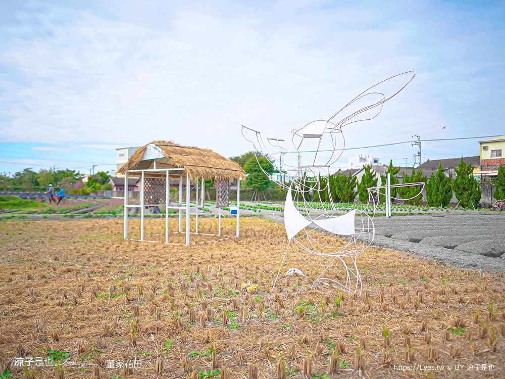 董家花田 菜單 門票 景點 彰化景點 田尾景觀餐廳 花海 戶外野餐 咖啡 交通