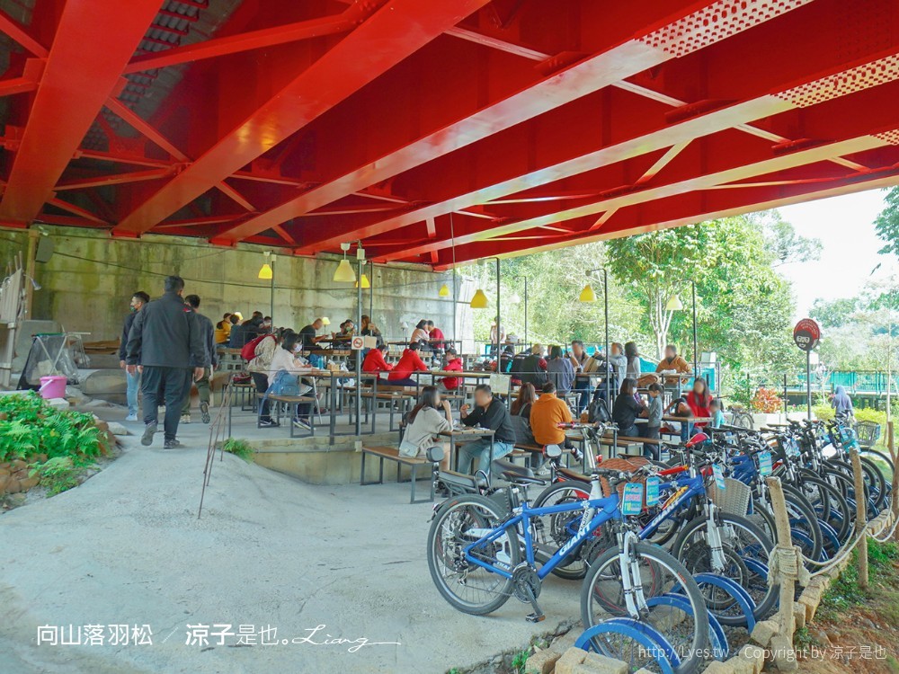 向山落羽松 日月潭自行車道 湖畔 落羽松步道 日月潭景點推薦 IG打卡 南投親子