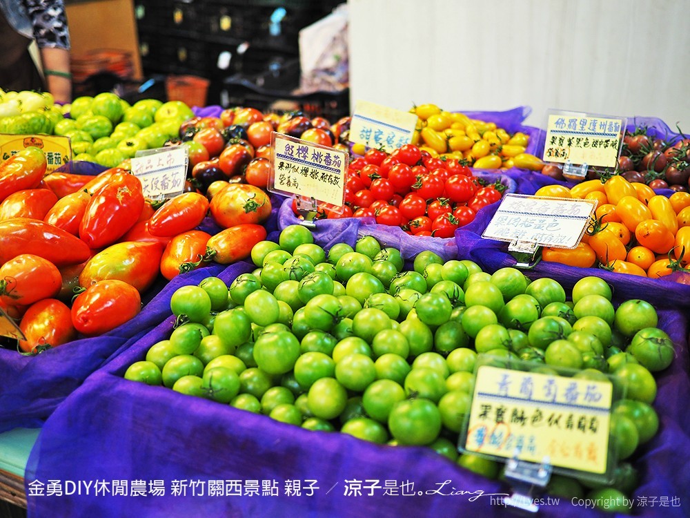 金勇DIY休閒農場 新竹關西景點 親子