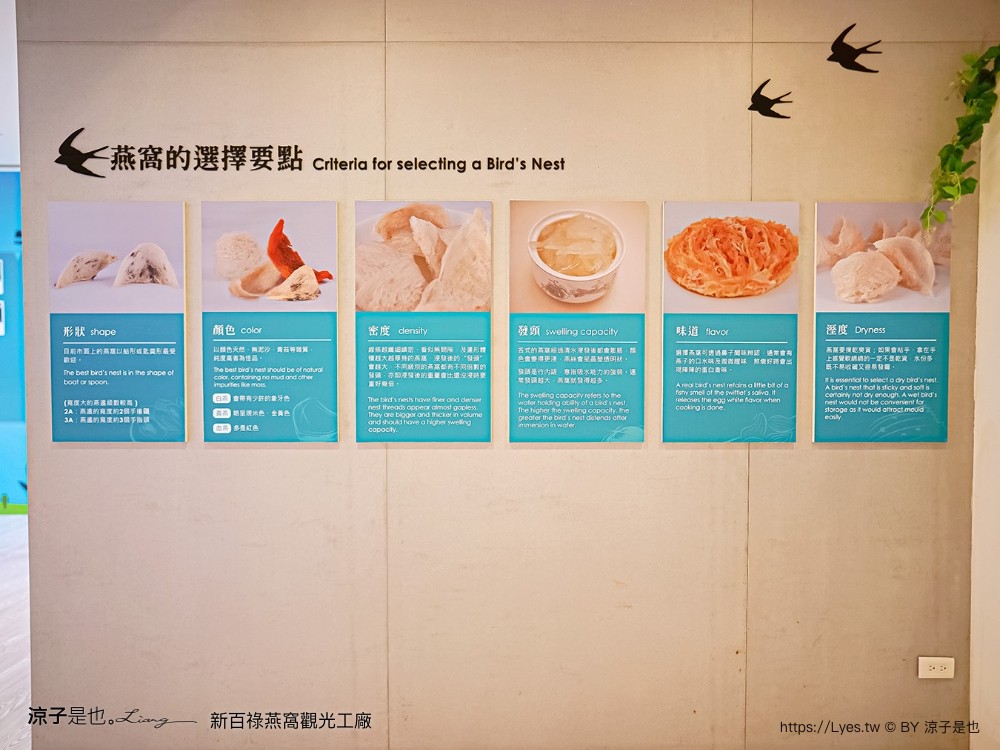新百祿燕窩觀光工廠 免門票 台南景點 親子景點 燕窩DIY 台南伴手禮 互動體驗 新百祿燕窩評價