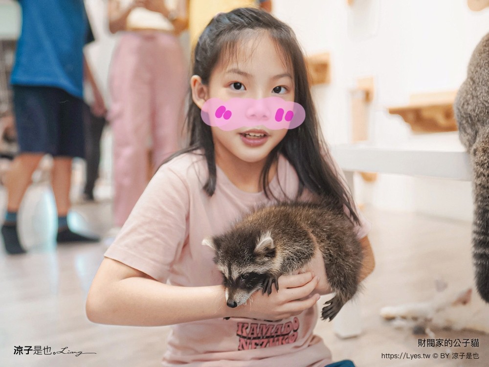 財閥家的公子貓 台南擼貓咖啡廳 台南景點推薦 狐獴 台南親子景點 室內景點 貓咪咖啡館 浣熊 狐獴 袋鼠 球蟒 雪貂 守宮