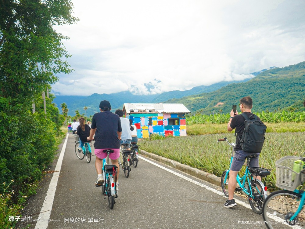 阿度的店 台東景點 鹿野 租車 電動單車遊 綠色隧道 躺馬路 體驗 自行車