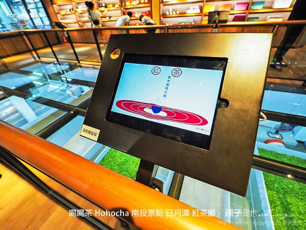 喝喝茶 hohocha 南投景點 日月潭 紅茶廠