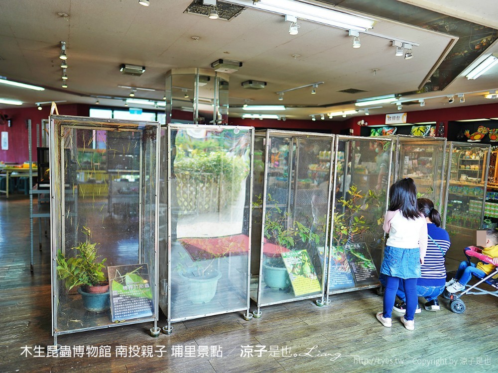 木生昆蟲博物館 南投親子 埔里景點