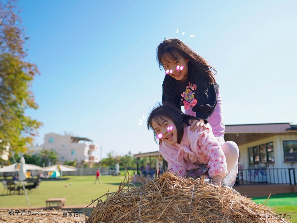 董家花田 菜單 門票 景點 彰化景點 田尾景觀餐廳 花海 戶外野餐 咖啡 交通