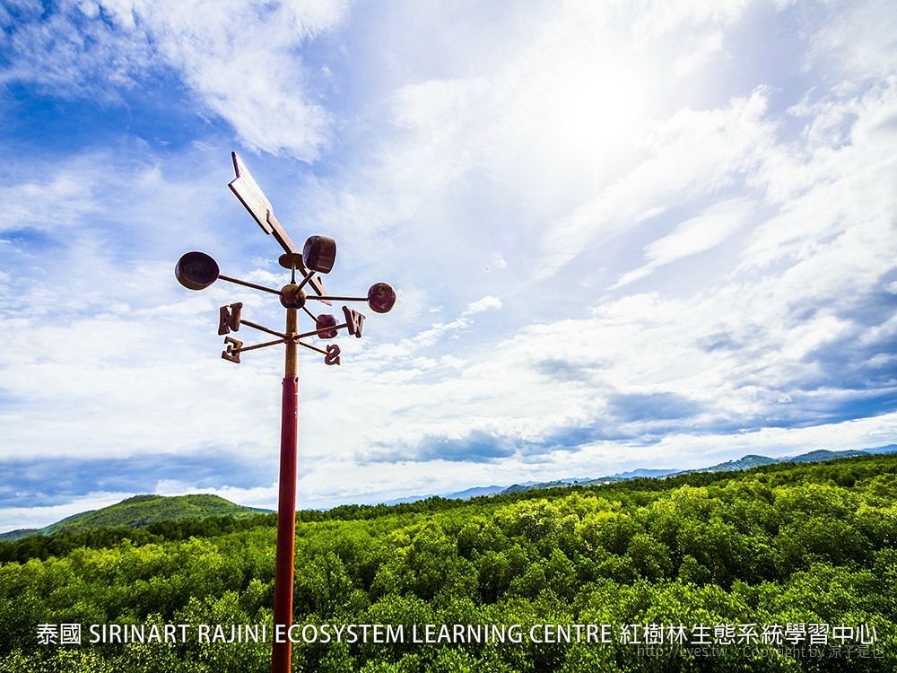 泰國 SIRINART RAJINI ECOSYSTEM LEARNING CENTRE 紅樹林生態系統學習中心