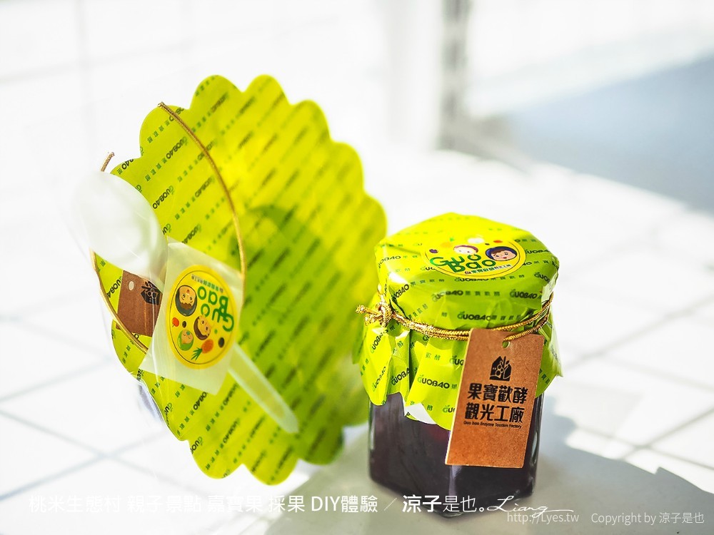 桃米生態村 親子景點 嘉寶果 採果 diy體驗