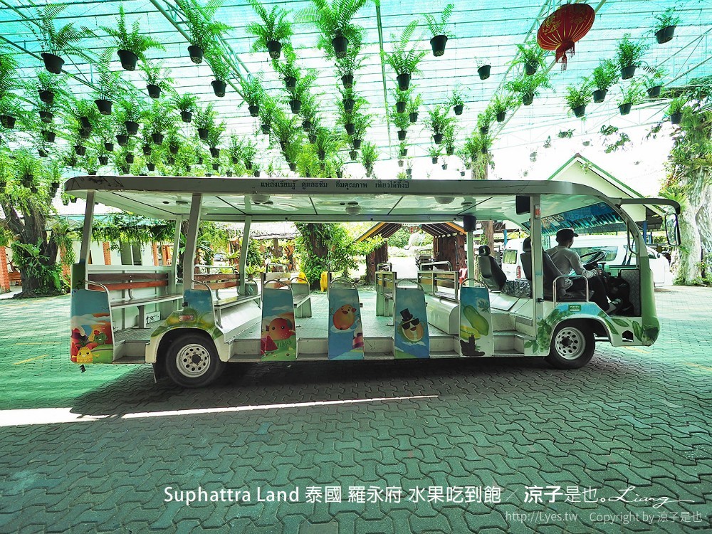 suphattra land 泰國 羅勇府 水果吃到飽