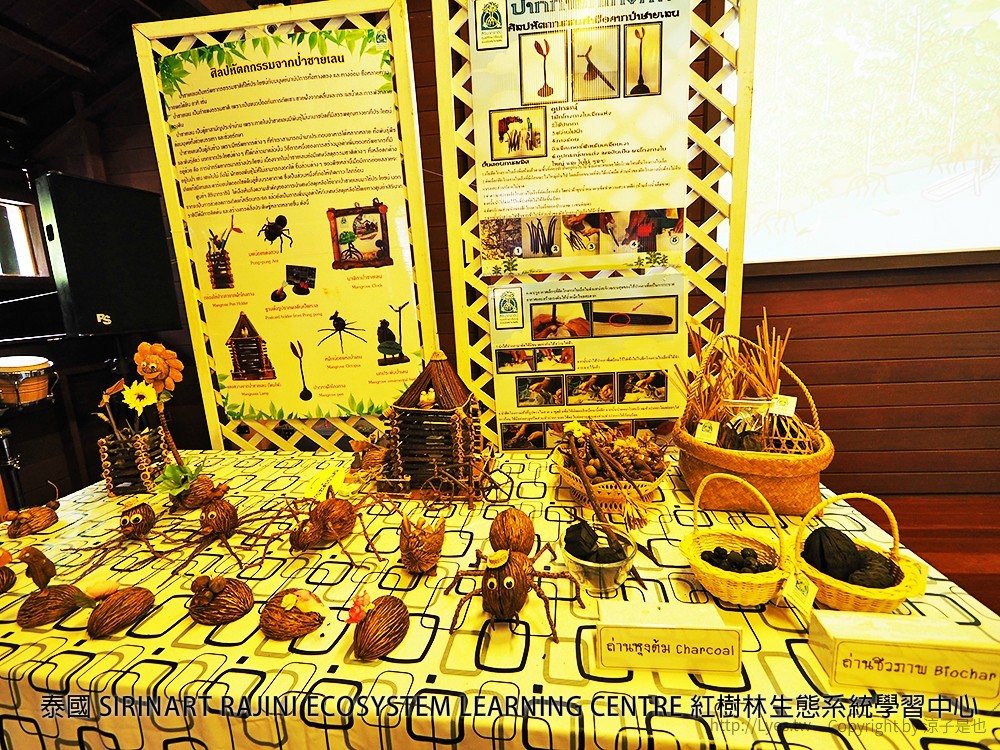 泰國 SIRINART RAJINI ECOSYSTEM LEARNING CENTRE 紅樹林生態系統學習中心