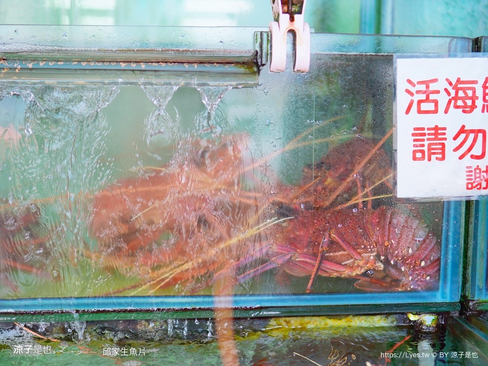 後壁湖邱家生魚片 菜單 屏東美食 墾丁必吃 百元生魚片 屏東海鮮餐廳 人氣排隊IG打卡