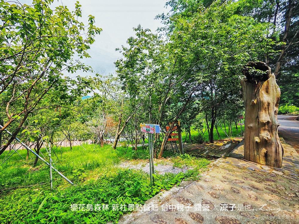 新社景點-櫻花鳥森林 迷你小火車x溜滑梯戲水區x鸚鵡放飛秀x露營 不止花好拍 親子旅遊也好玩！