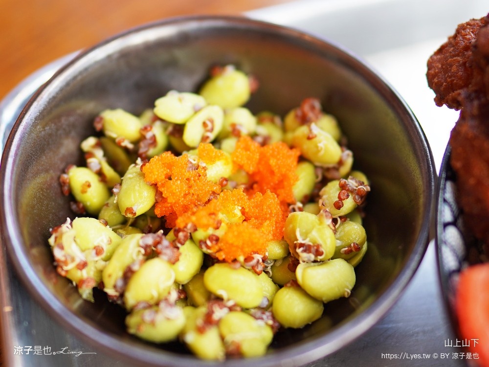 山上山下 菜單 南投埔里美食 山上山下咖哩飯專賣店 桃米村 唐揚雞 炸豬排 唐揚雞 炸豬排