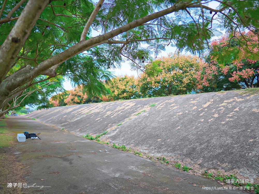 埔里景點 埔里內埔飛場 欒樹親子景點 南投藍花楹花道 賞花秘境 草地野餐 放風箏 玩球