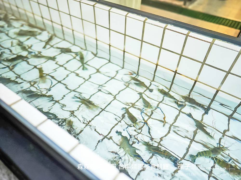 森森燒肉 菜單 台中燒肉美食餐廳