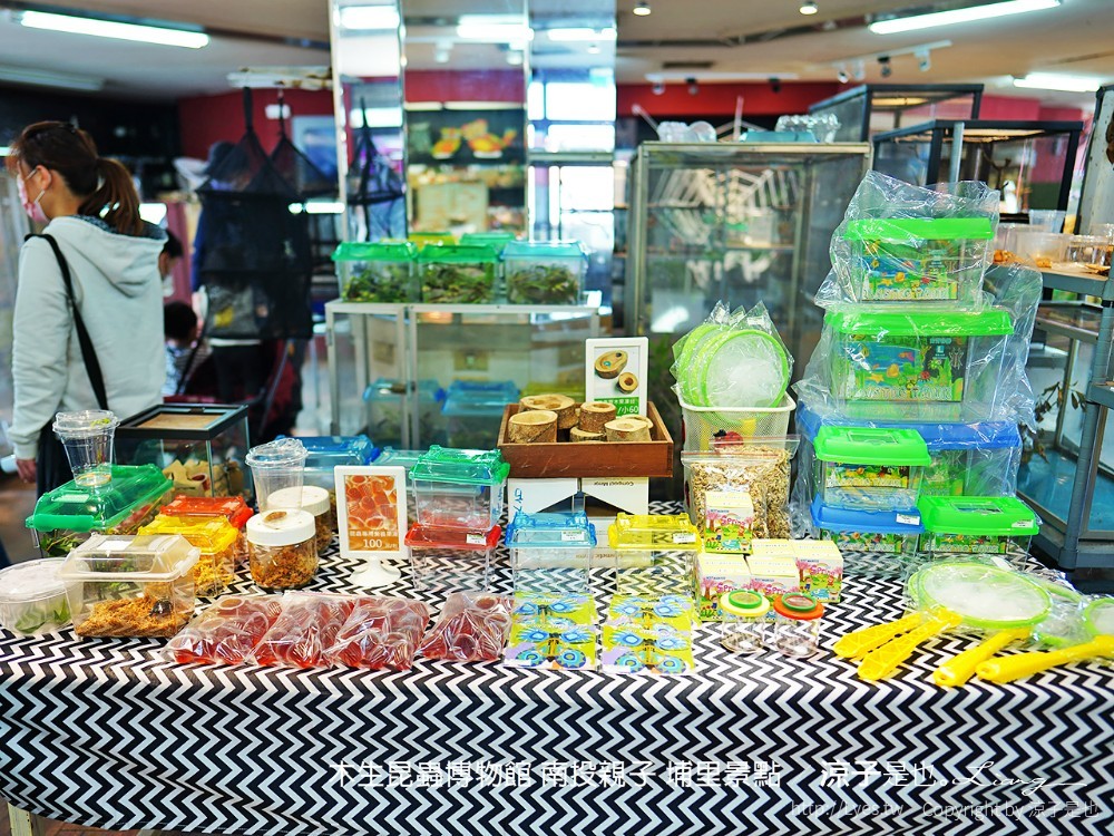 木生昆蟲博物館 南投親子 埔里景點