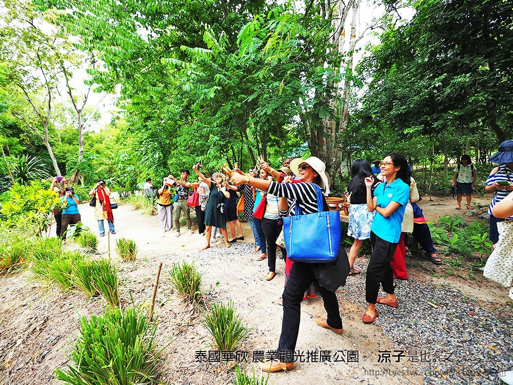 泰國華欣 農業觀光推廣公園