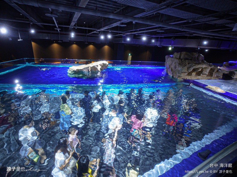 台中海洋館 門票優惠 交通 八大展區 免費票 台中親子景點 台中景點推薦 懶人包 攻略 必看特色