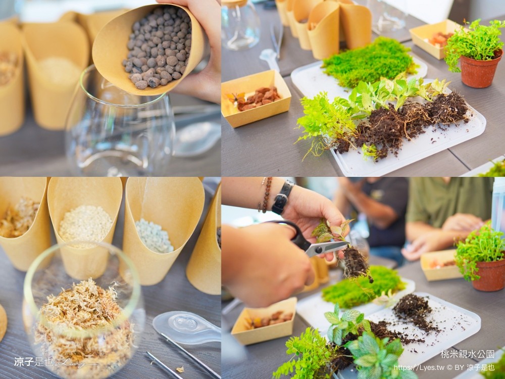 桃米親水公園 2024埔里親水節 南投埔里景點 免門票戲水池 親子玩水景點 山系親水公園 親子DIY