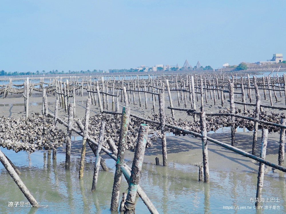 布袋海上巴士 嘉義親子景點 門票價格 蛋糕沙灘 網美拍照打卡 生態導覽