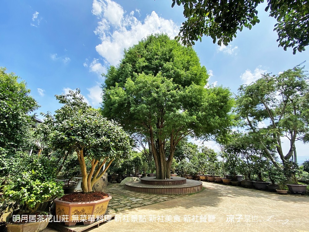 明月居茶花山莊 無菜單料理 新社景點 新社美食 新社餐廳
