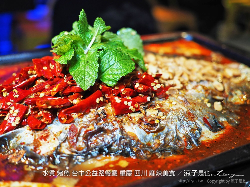 水貨 烤魚 台中公益路餐廳 重慶 四川 麻辣美食