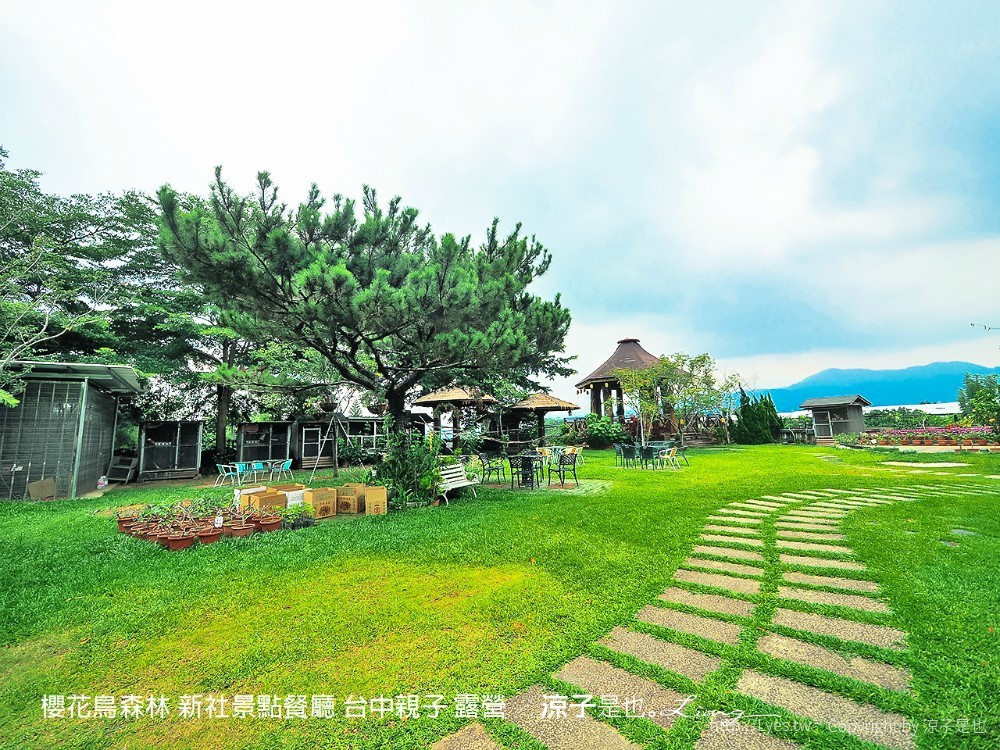 新社景點-櫻花鳥森林 迷你小火車x溜滑梯戲水區x鸚鵡放飛秀x露營 不止花好拍 親子旅遊也好玩！