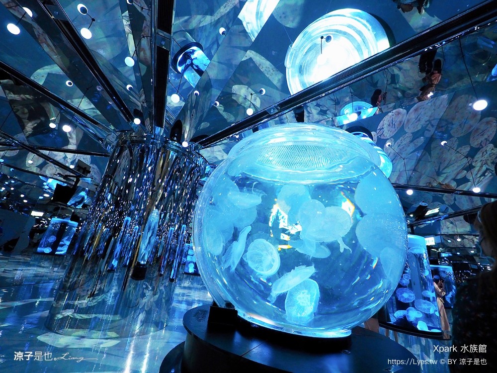 xpark水族館 門票優惠 桃園 親子景點 最新攻略 必看展區 美食餐廳 交通 停車 住宿