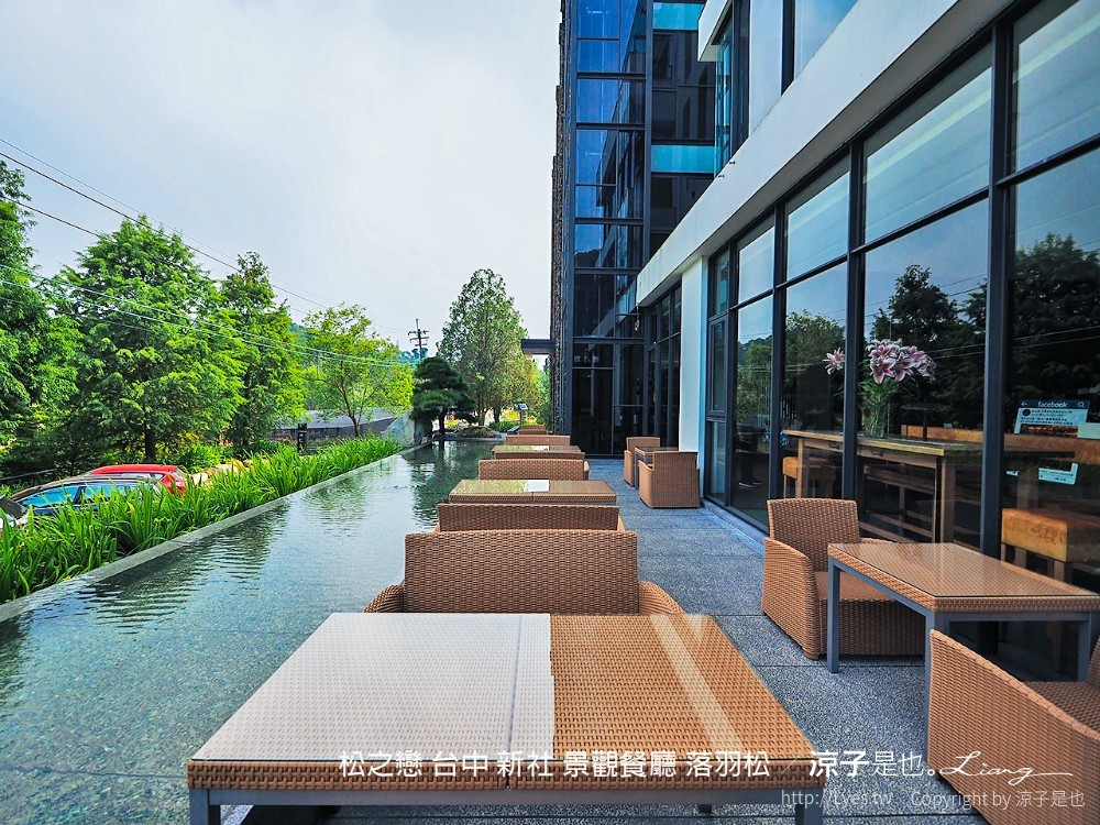松之戀 台中 新社 景觀餐廳 落羽松