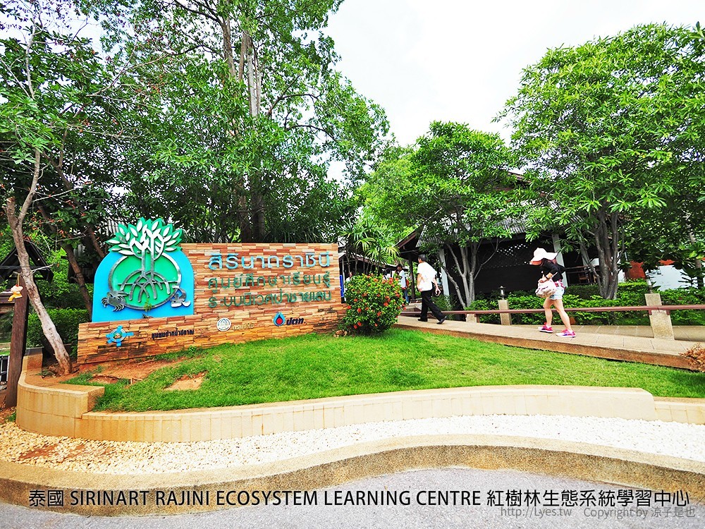 泰國 SIRINART RAJINI ECOSYSTEM LEARNING CENTRE 紅樹林生態系統學習中心
