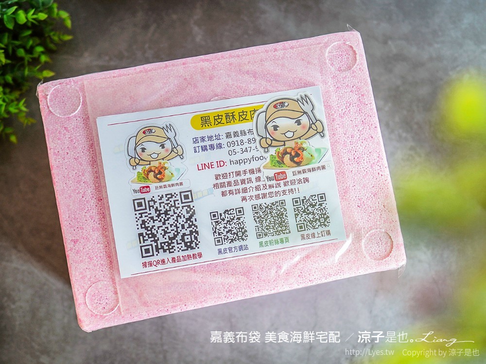 嘉義布袋 團購美食宅配 嘉義漁家樂無毒蝦養殖場 九龍活海產 黑皮海鮮餐廳