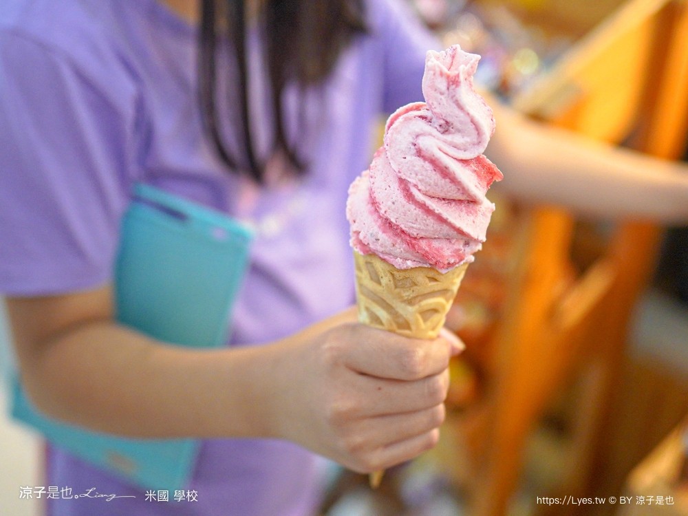 米國學校 關山鎮農會休閒旅遊中心 台東親子景點 關山景點 關山美食 關山米 古早味便當 免門票