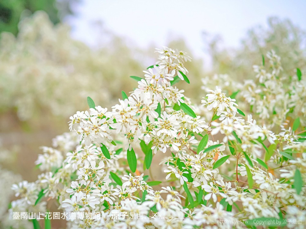 台南山上花園水道博物館 台南親子景點 門票 交通 戲水池 水道咖啡館 古堡